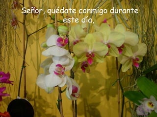 Señor, quédate conmigo durante
este día,