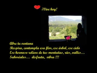 ¡Vive hoy!
Abre tu ventana
Respira, contempla esa flor, ese árbol, ese cielo
Ese hermoso relieve de tus montañas, ríos, valles…
Saboréalos… disfruta, vibra !!!