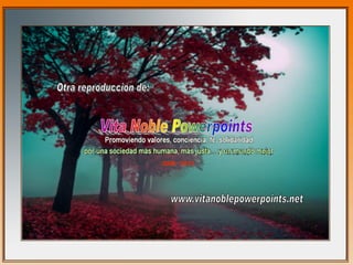 En mii-soledad-te-busco