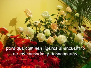 No entanto, esse mover é
persistente, forte e profundo.!
para que caminen ligeros al encuentro
de los cansados y desanimados.