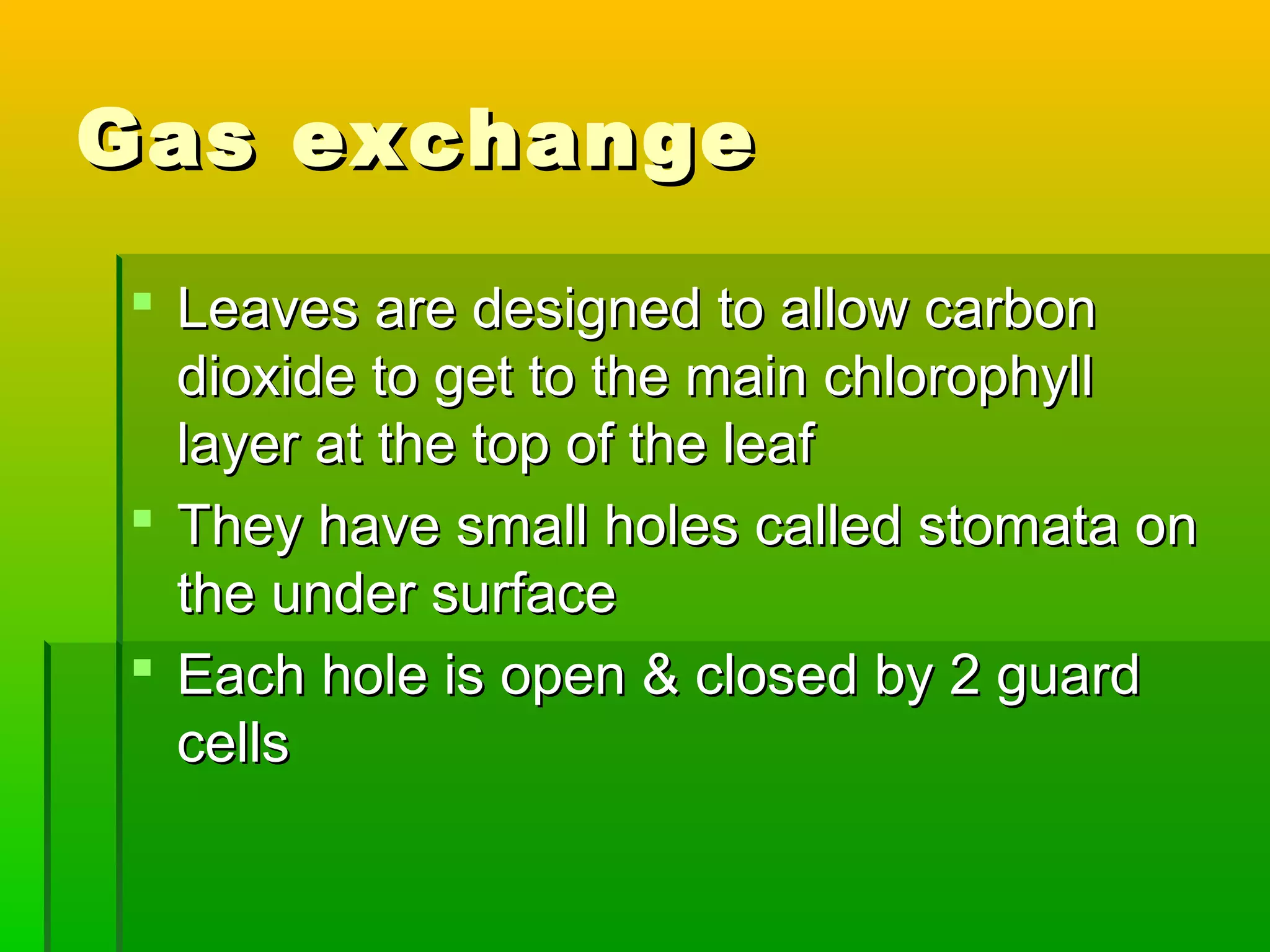 Gas exchangeGas exchange
 Leaves are designed to allow carbonLeaves are designed to allow carbon
dioxide to get to the main chlorophylldioxide to get to the main chlorophyll
layer at the top of the leaflayer at the top of the leaf
 They have small holes called stomata onThey have small holes called stomata on
the under surfacethe under surface
 Each hole is open & closed by 2 guardEach hole is open & closed by 2 guard
cellscells
 