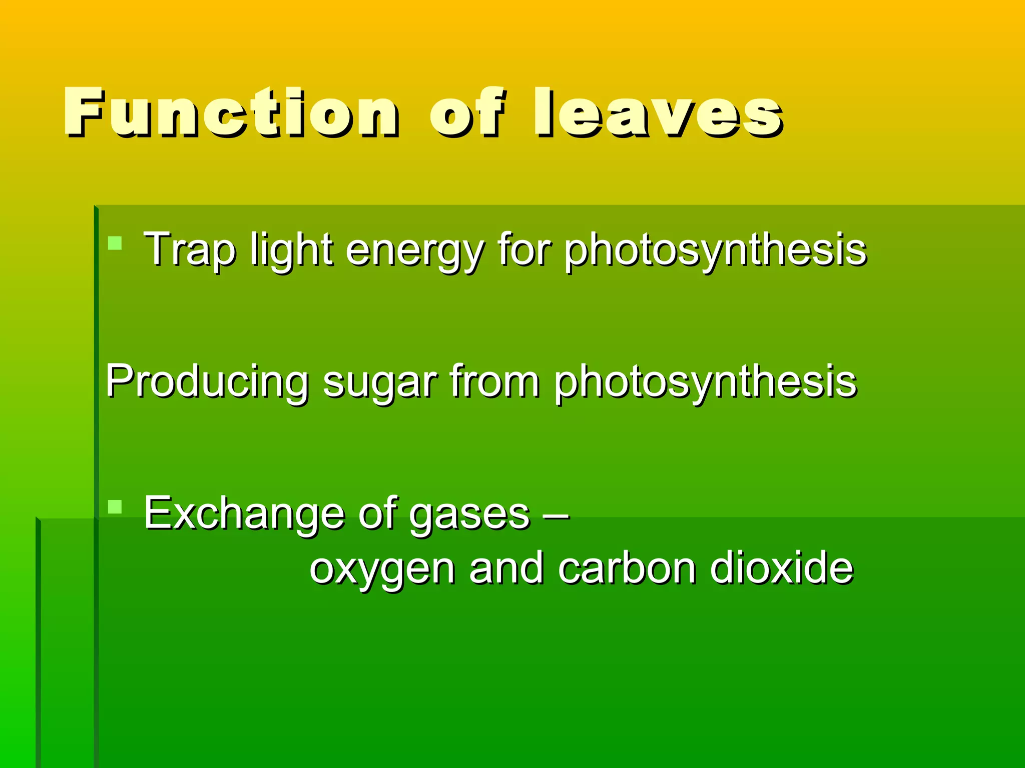 Function of leavesFunction of leaves
 Trap light energy for photosynthesisTrap light energy for photosynthesis
Producing sugar from photosynthesisProducing sugar from photosynthesis
 Exchange of gases –Exchange of gases –
oxygen and carbon dioxideoxygen and carbon dioxide
 