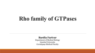 Rho family of GTPases
Bardia Farivar
Department of Medical Biology
Istanbul University
Cerrahpaşa Medical Faculty
 