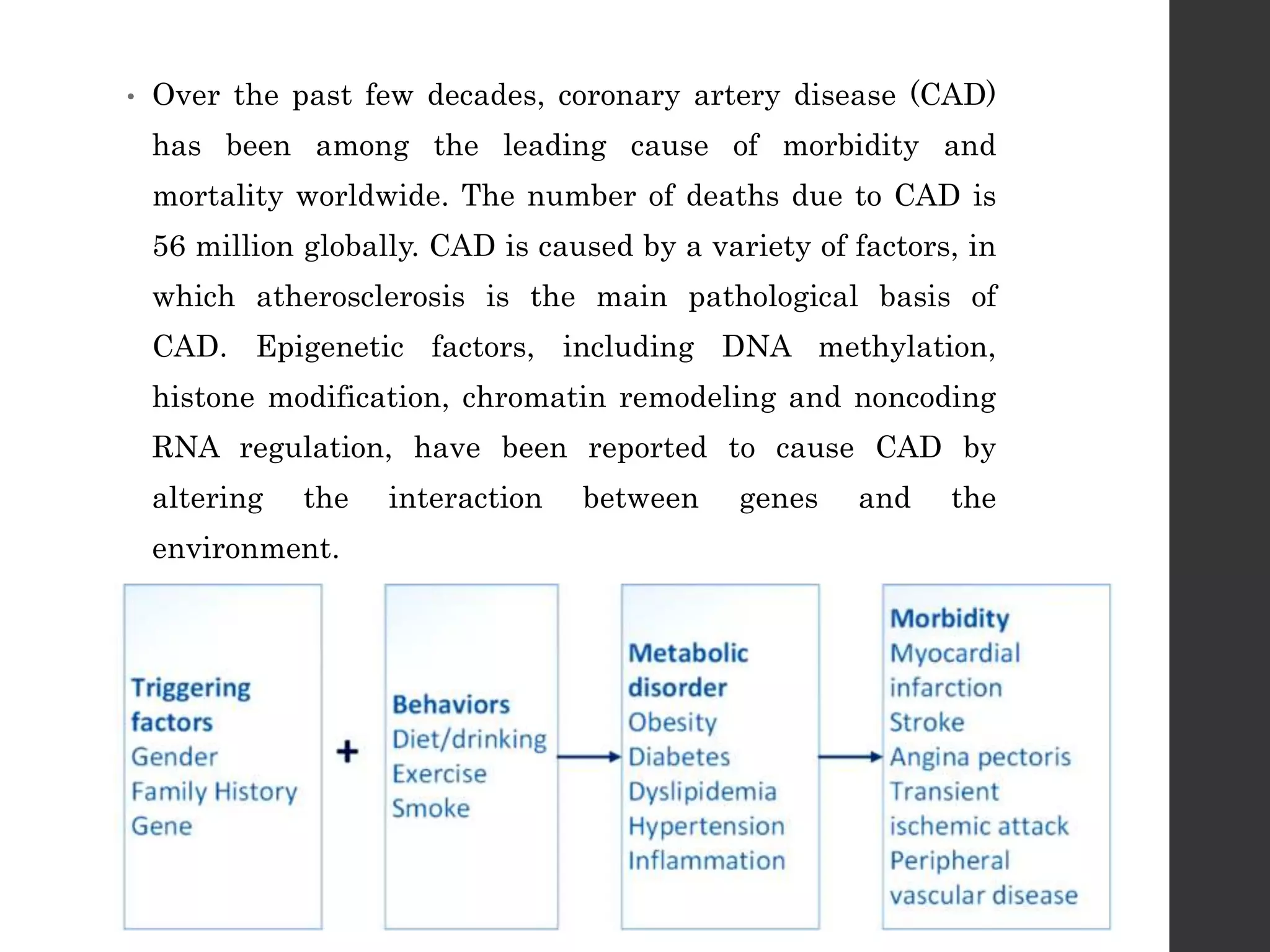 The Role of DNA Methylation in Coronary Artery Disease | PPTX