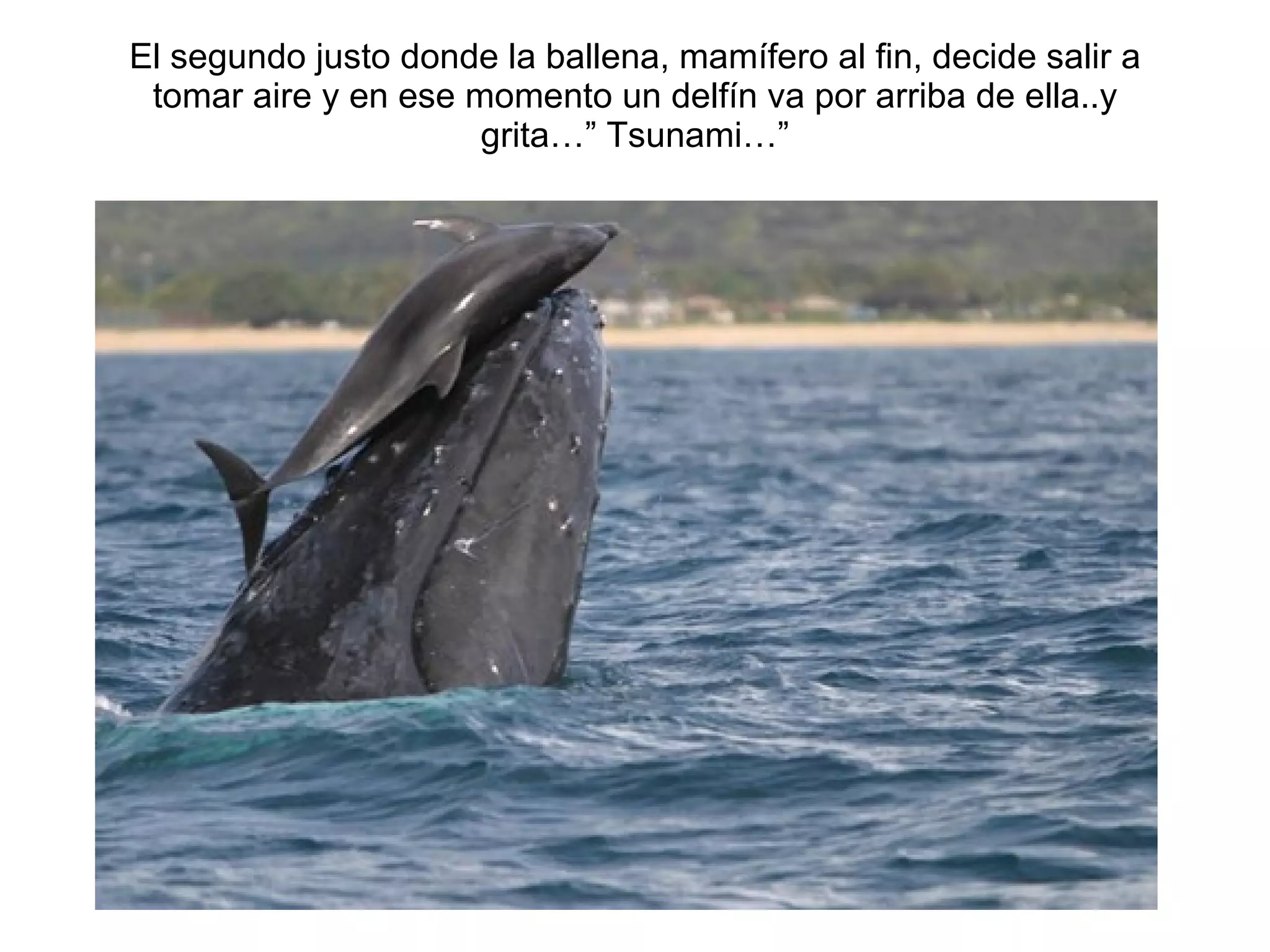 El segundo justo donde la ballena, mam ífero al fin, decide salir a tomar aire y en ese momento un delfín va por arriba de ella..y grita…” Tsunami…” 