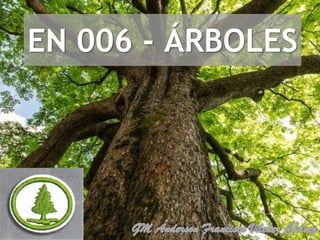 EN 006 - ÁRBOLES
 