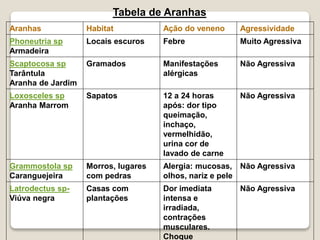 Tabela de Aranhas
Aranhas Habitat Ação do veneno Agressividade
Phoneutria sp
Armadeira
Locais escuros Febre Muito Agressiva
Scaptocosa sp
Tarântula
Aranha de Jardim
Gramados Manifestações
alérgicas
Não Agressiva
Loxosceles sp
Aranha Marrom
Sapatos 12 a 24 horas
após: dor tipo
queimação,
inchaço,
vermelhidão,
urina cor de
lavado de carne
Não Agressiva
Grammostola sp
Caranguejeira
Morros, lugares
com pedras
Alergia: mucosas,
olhos, nariz e pele
Não Agressiva
Latrodectus sp-
Viúva negra
Casas com
plantações
Dor imediata
intensa e
irradiada,
contrações
musculares.
Choque
Não Agressiva
 
