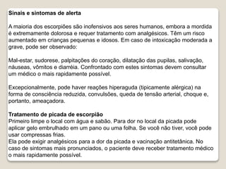 Sinais e sintomas de alerta
A maioria dos escorpiões são inofensivos aos seres humanos, embora a mordida
é extremamente dolorosa e requer tratamento com analgésicos. Têm um risco
aumentado em crianças pequenas e idosos. Em caso de intoxicação moderada a
grave, pode ser observado:
Mal-estar, sudorese, palpitações do coração, dilatação das pupilas, salivação,
náuseas, vômitos e diarréia. Confrontado com estes sintomas devem consultar
um médico o mais rapidamente possível.
Excepcionalmente, pode haver reações hiperaguda (tipicamente alérgica) na
forma de consciência reduzida, convulsões, queda de tensão arterial, choque e,
portanto, ameaçadora.
Tratamento de picada de escorpião
Primeiro limpe o local com água e sabão. Para dor no local da picada pode
aplicar gelo embrulhado em um pano ou uma folha. Se você não tiver, você pode
usar compressas frias.
Ela pode exigir analgésicos para a dor da picada e vacinação antitetânica. No
caso de sintomas mais pronunciados, o paciente deve receber tratamento médico
o mais rapidamente possível.
 