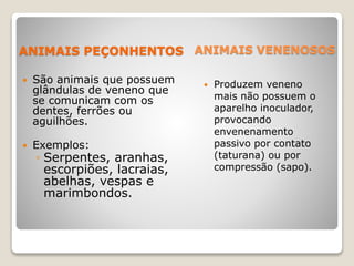 ANIMAIS PEÇONHENTOS
 São animais que possuem
glândulas de veneno que
se comunicam com os
dentes, ferrões ou
aguilhões.
 Exemplos:
◦ Serpentes, aranhas,
escorpiões, lacraias,
abelhas, vespas e
marimbondos.
 Produzem veneno
mais não possuem o
aparelho inoculador,
provocando
envenenamento
passivo por contato
(taturana) ou por
compressão (sapo).
ANIMAIS VENENOSOS
 