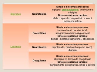 Micrurus Neurotóxico
Sinais e sintomas precoces:
diplopia, ptose palpebral, anisocoria e
mialgias
Sinais e sintomas tardios:
afeta o aparelho respiratório e leva à
morte por asfixia
Lachesis
Proteolítico
Sinais e sintomas precoces:
inchaço local, dor viva local,
sangramento hemorrágico local
Sinais e sintomas tardios:
bolhas , necrose (gangrena), abscessos
Neurotóxico
Sinais e sintomas precoces:
hipotensão, bradicardia (pulso fraco),
diarréia
Coagulante
Sinais e sintomas precoces:
alteração no tempo de coagulação
Sinais e sintomas tardios:
sangramento de gengivas, olhos e ouvido
 