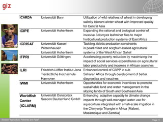 The Advisory Service on Agricultural Research for Development (BEAF)