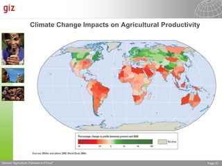 The Advisory Service on Agricultural Research for Development (BEAF)