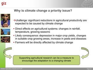 The Advisory Service on Agricultural Research for Development (BEAF)