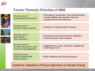 The Advisory Service on Agricultural Research for Development (BEAF)