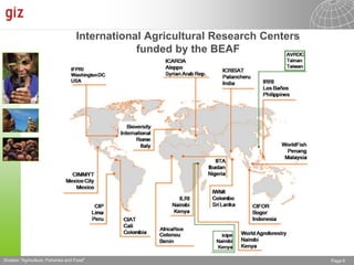 The Advisory Service on Agricultural Research for Development (BEAF)