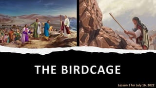 THE BIRDCAGE
Lesson 3 for July 16, 2022
 