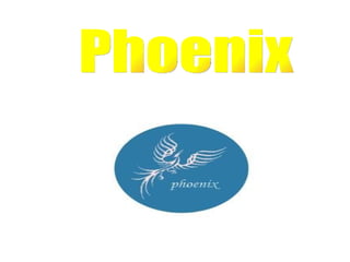 Phoenix 