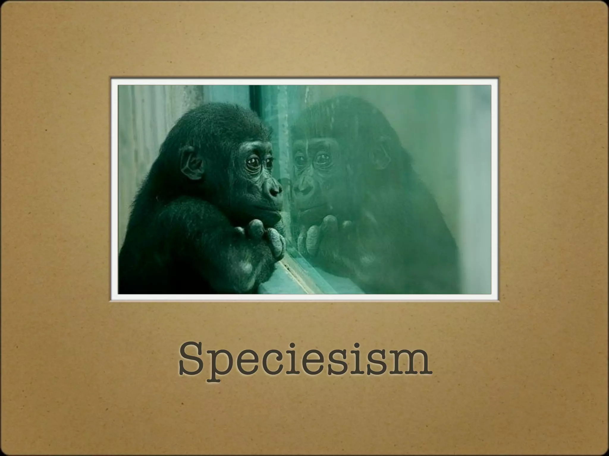 Speciesism
 