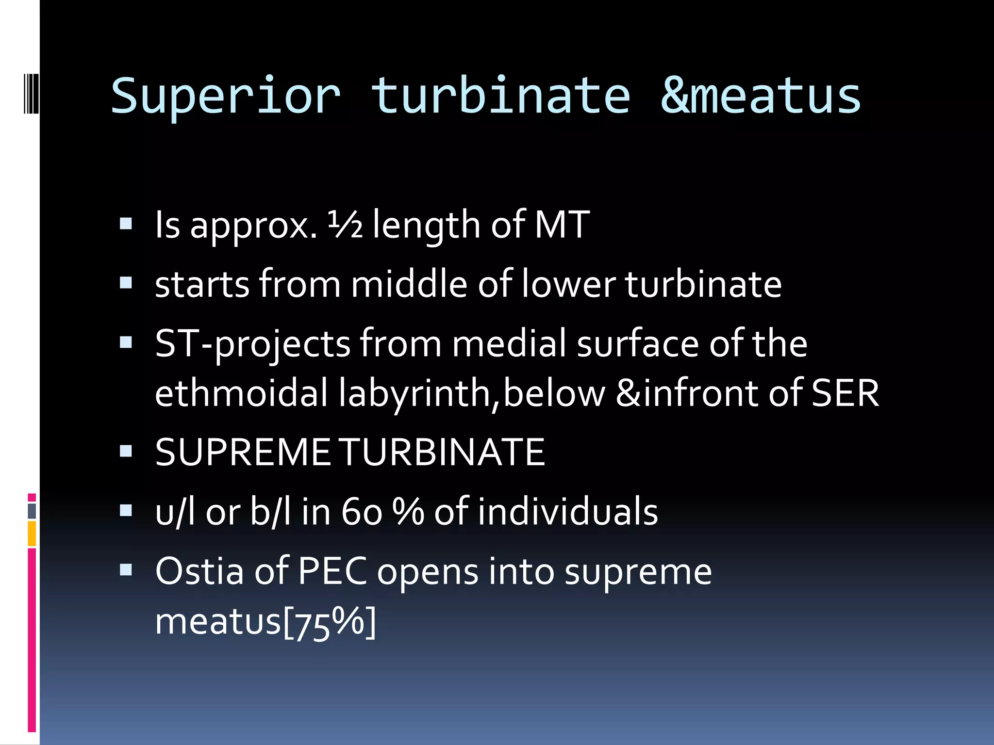 endoscopic anatomy of nasal cavity | PPTX