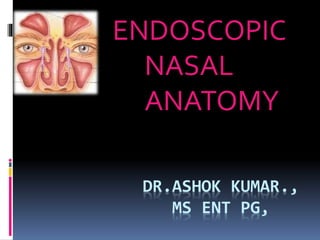 DR.ASHOK KUMAR.,
MS ENT PG,
ENDOSCOPIC
NASAL
ANATOMY
 