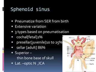 endoscopic anatomy of nasal cavity | PPTX