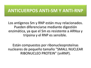 anticuerpos contra antigenos nucleares.pptx