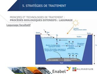 5. STRATÉGIES DE TRAITEMENT
Lagunage facultatif
PRINCIPES ET TECHNOLOGIES DE TRAITEMENT :
PROCÉDÉS BIOLOGIQUES EXTENSIFS : LAGUNAGE
 