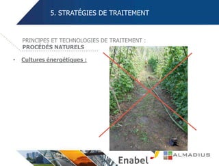 5. STRATÉGIES DE TRAITEMENT
• Cultures énergétiques :
PRINCIPES ET TECHNOLOGIES DE TRAITEMENT :
PROCÉDÉS NATURELS
 
