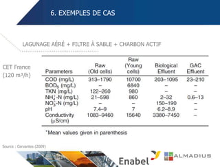 6. EXEMPLES DE CAS
LAGUNAGE AÉRÉ + FILTRE À SABLE + CHARBON ACTIF
CET France
(120 m³/h)
Source : Cervantes (2009)
 