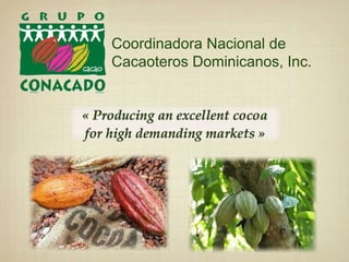 Coordinadora Nacional de
Cacaoteros Dominicanos, Inc.
 
