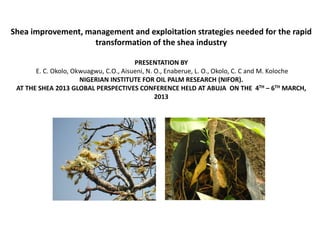 Shea improvement, management and exploitation strategies needed for the rapid
                    transformation of the shea industry

                                        PRESENTATION BY
       E. C. Okolo, Okwuagwu, C.O., Aisueni, N. O., Enaberue, L. O., Okolo, C. C and M. Koloche
                      NIGERIAN INSTITUTE FOR OIL PALM RESEARCH (NIFOR).
 AT THE SHEA 2013 GLOBAL PERSPECTIVES CONFERENCE HELD AT ABUJA ON THE 4TH – 6TH MARCH,
                                                2013
 