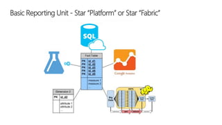 Basic Reporting Unit - Star “Platform” or Star “Fabric”
 