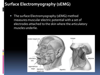 Surface Electromyography (sEMG)

   The surface Electromyography (sEMG) method
    measures muscular electric potential with a set of
    electrodes attached to the skin where the articulatory
    muscles underlie.
 