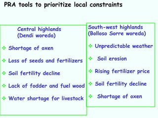 PRA tools to prioritize local constraints


      Central highlands           South-west highlands
      (Dendi woreda)              (Bolloso Sorre woreda)

 Shortage of oxen                 Unpredictable weather

 Loss of seeds and fertilizers    Soil erosion

 Soil fertility decline           Rising fertilizer price

 Lack of fodder and fuel wood  Soil fertility decline

 Water shortage for livestock  Shortage of oxen
 