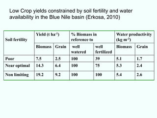 Low Crop yields constrained by soil fertility and water
  availability in the Blue Nile basin (Erkosa, 2010)


                 Yield (t ha-1)   % Biomass in         Water productivity
Soil fertility                    reference to         (kg m-3)
                 Biomass Grain    well       well       Biomass   Grain
                                  watered    fertilized
Poor             7.5        2.5   100        39        5.1        1.7
Near optimal     14.3       6.4   100        75        5.3        2.4

Non limiting     19.2       9.2   100        100       5.4        2.6
 