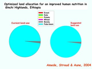Optimized land allocation for an improved human nutrition in
 Ginchi Highlands, Ethiopia
                            Enset
                            Kale
                            Potato
                            Wheat
                            Barely
     Current land use                           Suggested
                            Faba bean
                                                land use




                              Amede, Stroud & Aune, 2004
 