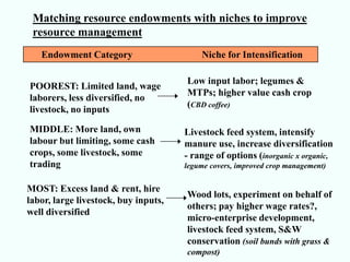 Matching resource endowments with niches to improve
 resource management
   Endowment Category                     Niche for Intensification

                                      Low input labor; legumes &
POOREST: Limited land, wage
                                      MTPs; higher value cash crop
laborers, less diversified, no
                                      (CBD coffee)
livestock, no inputs

MIDDLE: More land, own                Livestock feed system, intensify
labour but limiting, some cash        manure use, increase diversification
crops, some livestock, some           - range of options (inorganic x organic,
trading                               legume covers, improved crop management)


MOST: Excess land & rent, hire
                                      Wood lots, experiment on behalf of
labor, large livestock, buy inputs,
                                      others; pay higher wage rates?,
well diversified
                                      micro-enterprise development,
                                      livestock feed system, S&W
                                      conservation (soil bunds with grass &
                                      compost)
 