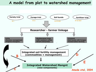 A model from plot to watershed management

                 Entry points and evolution of INM in    Areka benchmark site


                               Variety trial                    Soil bunds
    Variety trial
    Variety trial              Forage trial                     Soil bunds                 Variety trialtrial
                                                                                           Fertilizer

       WI                        W II                           W III &IV                W III &IV




                              Researcher - farmer linkage
                              Researcher -Farmer Linkage phase
                                         -




•LCCs                                   •Multipurpose trees                     Compost
•Residue management                     •CBD resistant coffee                   Soil bunds with forages
•Organic-Inorganic                      •Small enterprises                      Conservation farming
                                                                   .




                    Integrated soil fertility management
                         Integrated soil fertility management


             B
                       (commodities + management)                                         D

                                                                                                     E
                          Integrated Watershed Mangnt
                                         (new components)
         C                                                                           Amede etal, 2004
 