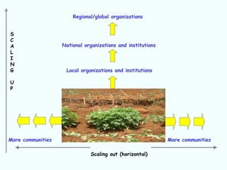 Regional/global organizations


S
C
A                  National organizations and institutions
L
I
N
G                   Local organizations and institutions

U
P




More communities                                             More communities

                              Scaling out (horizontal)
 