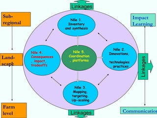 Linkages
Sub-                                                      Impact
                             Nile 1.
regional                    Inventory                     Learning
                          and synthesis




                                             Nile 2.
           Nile 4.            Nile 5.
                                           Innovations,
           Consequences     Coordination
Land-




                                                             Linkages
           , impact,        , platforms
                                           technologies
scape      tradeoffs                        , practices




                              Nile 3.
                              Mapping,
                             targeting.
                             Up-scaling

Farm
level                        Linkages             Communication
 