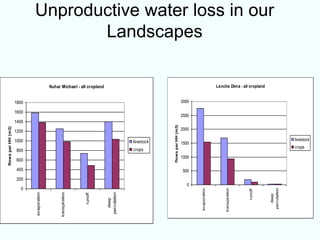 Enabling communities to regenerate mountain landscapes in the African Highlands