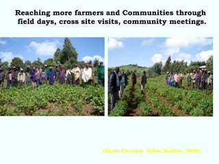 Enabling communities to regenerate mountain landscapes in the African Highlands