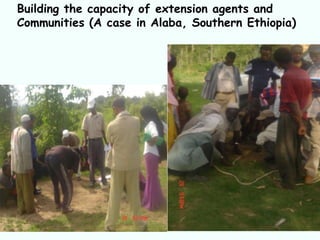 Enabling communities to regenerate mountain landscapes in the African Highlands