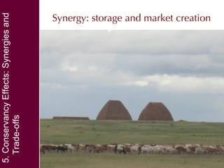 Community conservancies and payments for wildlife conservation (PWC) as a coping strategy under different conservancy institutional arrangements