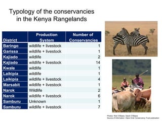 Review of community conservancies in Kenya
