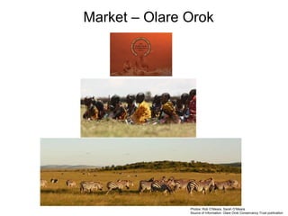 Review of community conservancies in Kenya