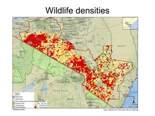 Review of community conservancies in Kenya