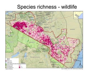 Species richness - wildlife Ministry  