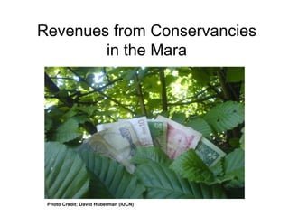 Review of community conservancies in Kenya