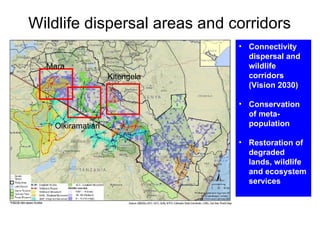 Review of community conservancies in Kenya